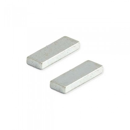 FTX Moray Magnets (pr)