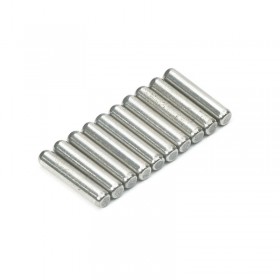 FTX Rally MK2RS Pin-2 X 10