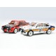 FTX Mk2RS 1/10 Brushless 4WD Rally Car RTR - White