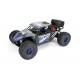 FTX DR8 1/8 Desert Racer 6s Ready-To-Run - Blue