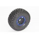 FTX DR8 1/8 Desert Racer 6s Ready-To-Run - Blue