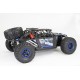 FTX DR8 1/8 Desert Racer 6s Ready-To-Run - Blue