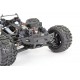 FTX Tracer 1/16 4WD Brushless Monster Truck RTR - Blue