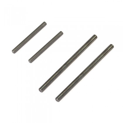 FTX Carnage/Outlaw/Zorro Hinge Pins(long & Short) 2sets